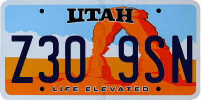 UT license plate Z309SN