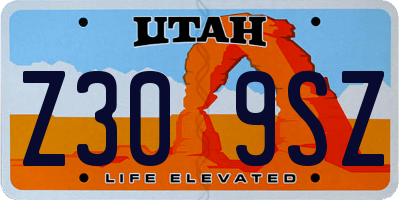 UT license plate Z309SZ