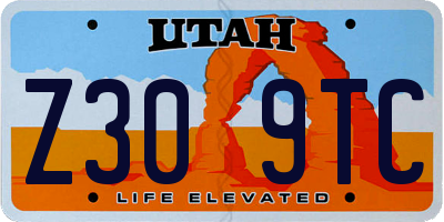 UT license plate Z309TC