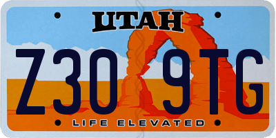 UT license plate Z309TG