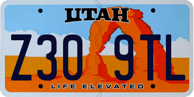 UT license plate Z309TL