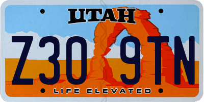 UT license plate Z309TN