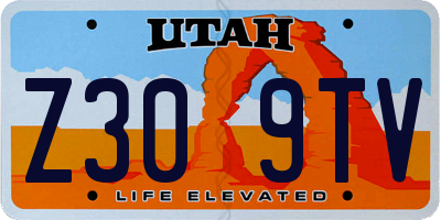 UT license plate Z309TV