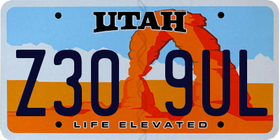 UT license plate Z309UL