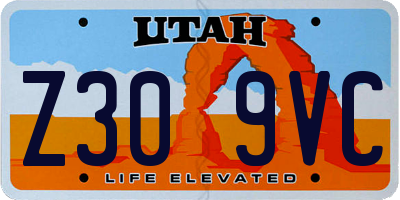 UT license plate Z309VC