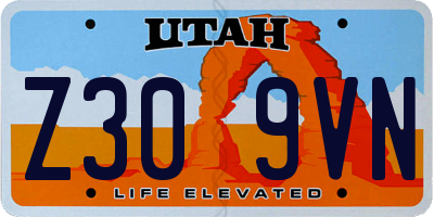 UT license plate Z309VN
