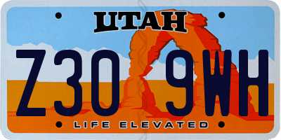 UT license plate Z309WH