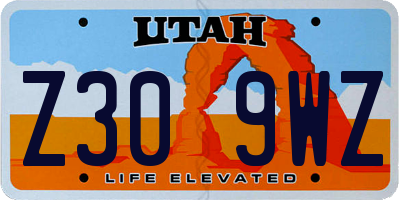 UT license plate Z309WZ