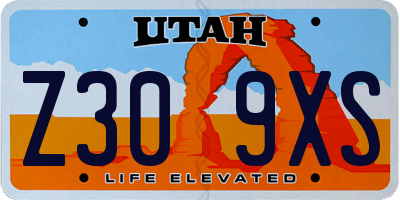 UT license plate Z309XS