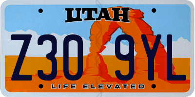 UT license plate Z309YL