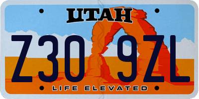 UT license plate Z309ZL
