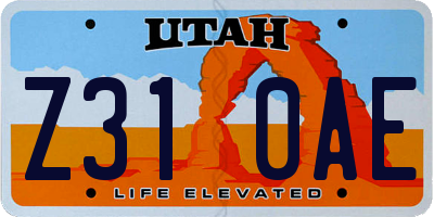 UT license plate Z310AE