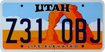 UT license plate Z310BJ