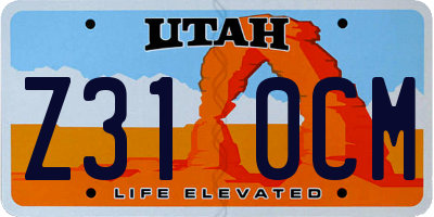 UT license plate Z310CM