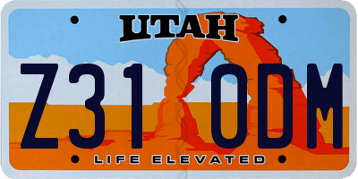 UT license plate Z310DM