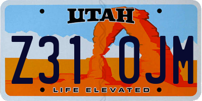 UT license plate Z310JM