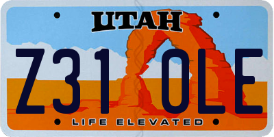 UT license plate Z310LE