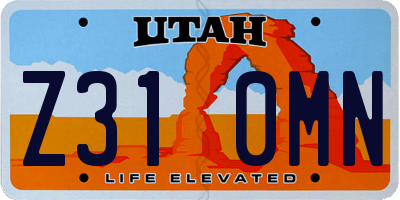 UT license plate Z310MN