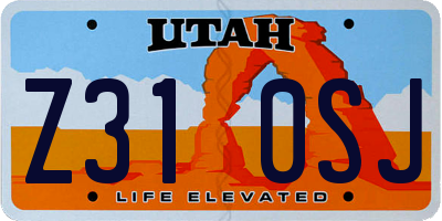 UT license plate Z310SJ