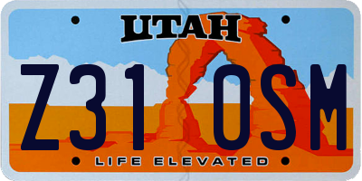 UT license plate Z310SM