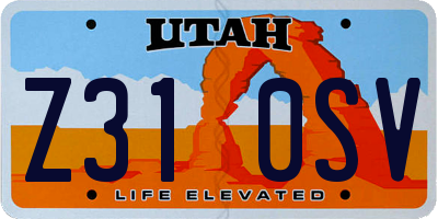 UT license plate Z310SV