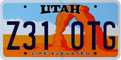UT license plate Z310TG
