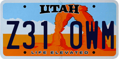 UT license plate Z310WM