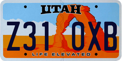 UT license plate Z310XB