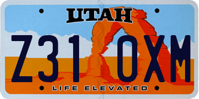 UT license plate Z310XM