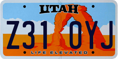 UT license plate Z310YJ