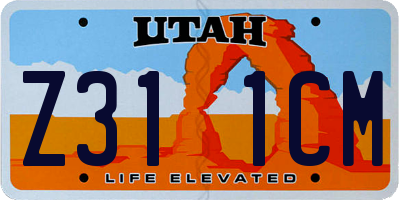 UT license plate Z311CM
