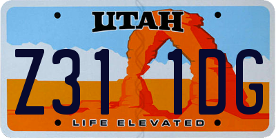 UT license plate Z311DG