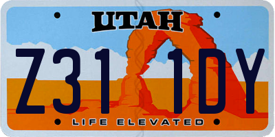 UT license plate Z311DY