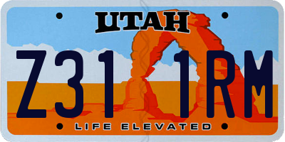 UT license plate Z311RM