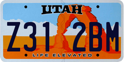 UT license plate Z312BM