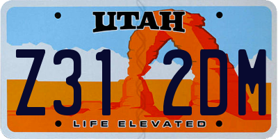 UT license plate Z312DM