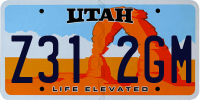 UT license plate Z312GM