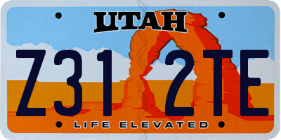 UT license plate Z312TE