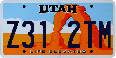 UT license plate Z312TM