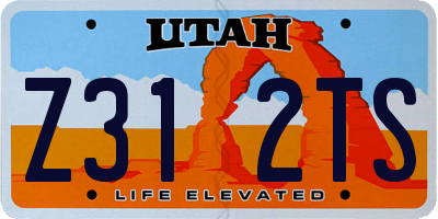 UT license plate Z312TS
