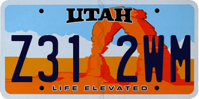 UT license plate Z312WM