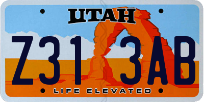 UT license plate Z313AB