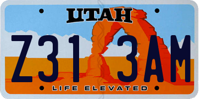 UT license plate Z313AM