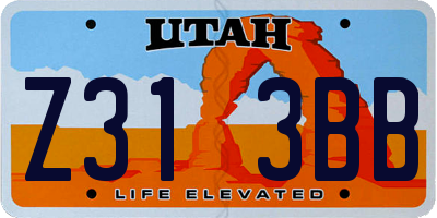 UT license plate Z313BB