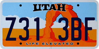 UT license plate Z313BF