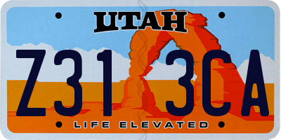 UT license plate Z313CA