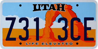 UT license plate Z313CE