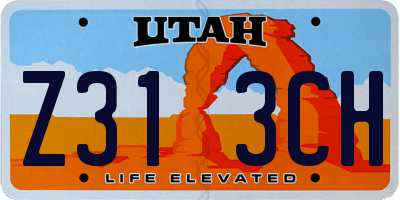 UT license plate Z313CH