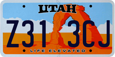 UT license plate Z313CJ