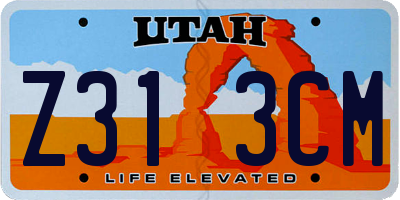 UT license plate Z313CM